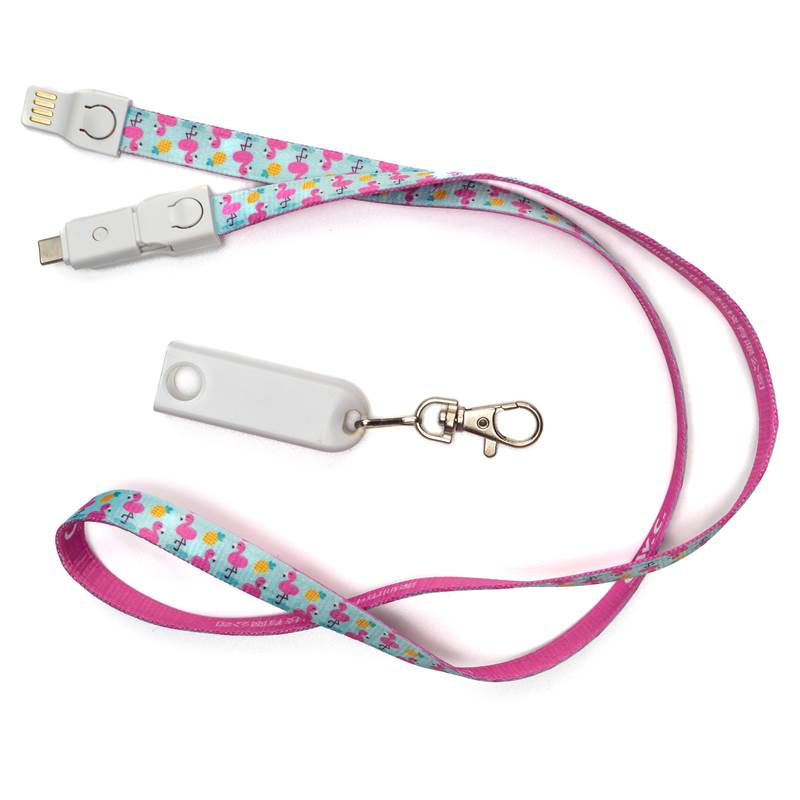 Lanyard with a charging cable