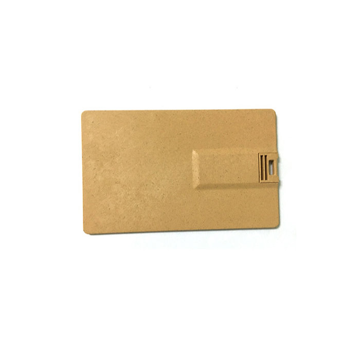USB CARPINUS - Image 3