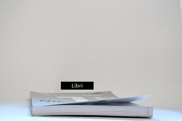 usb_book_italian_final